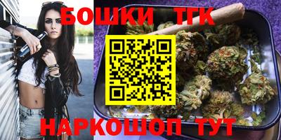 гидра Пенза