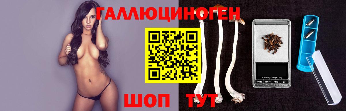 Псилоцибиновые грибы ЛСД Сланцы